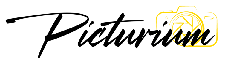 Picturium_black-e1722521153824
